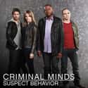 Criminal Minds: Suspect Behavior on Random TV Shows Canceled Before Their Time