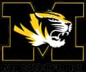 Missouri Tigers men's basketba... is listed (or ranked) 24 on the list March Madness: Who Will Win the 2018 NCAA Tournament?