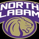 North Alabama Lions men's basketball on Random Best Atlantic Sun Basketball Teams