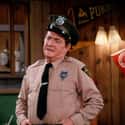 Officer Kirk on Random Greatest Cops on TV Sitcoms