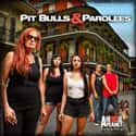 Pit Bulls & Parolees on Random Best Current Reality Shows That Make You A Better Person