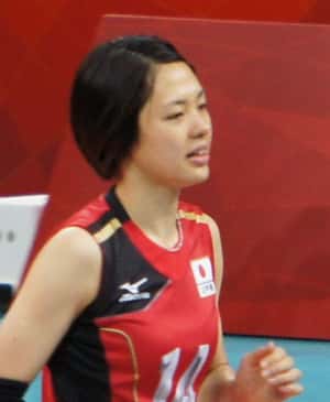 Who are some famous female vollyball players?