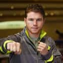 Welterweight, Light middleweight, Light welterweight   Santos Saúl Álvarez Barragán, commonly known as El Canelo, from canela, Spanish for cinnamon, in reference to his red hair; is a Mexican professional boxer in the Light...