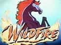 Wildfire on Random Best Horse Cartoons
