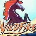 Wildfire on Random Best Horse Cartoons