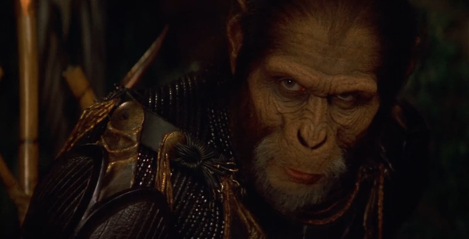 Planet Of The Apes Characters | Cast List of Characters From Planet Of The  Apes, image size:1600x816