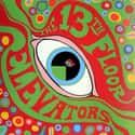 The Psychadelic Sounds of the 13th Floor Elevators, Bull of the Woods, The Psychedelic World of the 13th Floor Elevators   The 13th Floor Elevators is an American rock band from Austin, Texas, formed by guitarist and vocalist Roky Erickson, electric jug player Tommy Hall, and guitarist Stacy Sutherland, which...