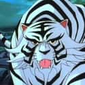 White Blaze on Random Greatest Tiger Characters