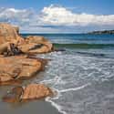 Wingaersheek Beach on Random Best Beaches in New England