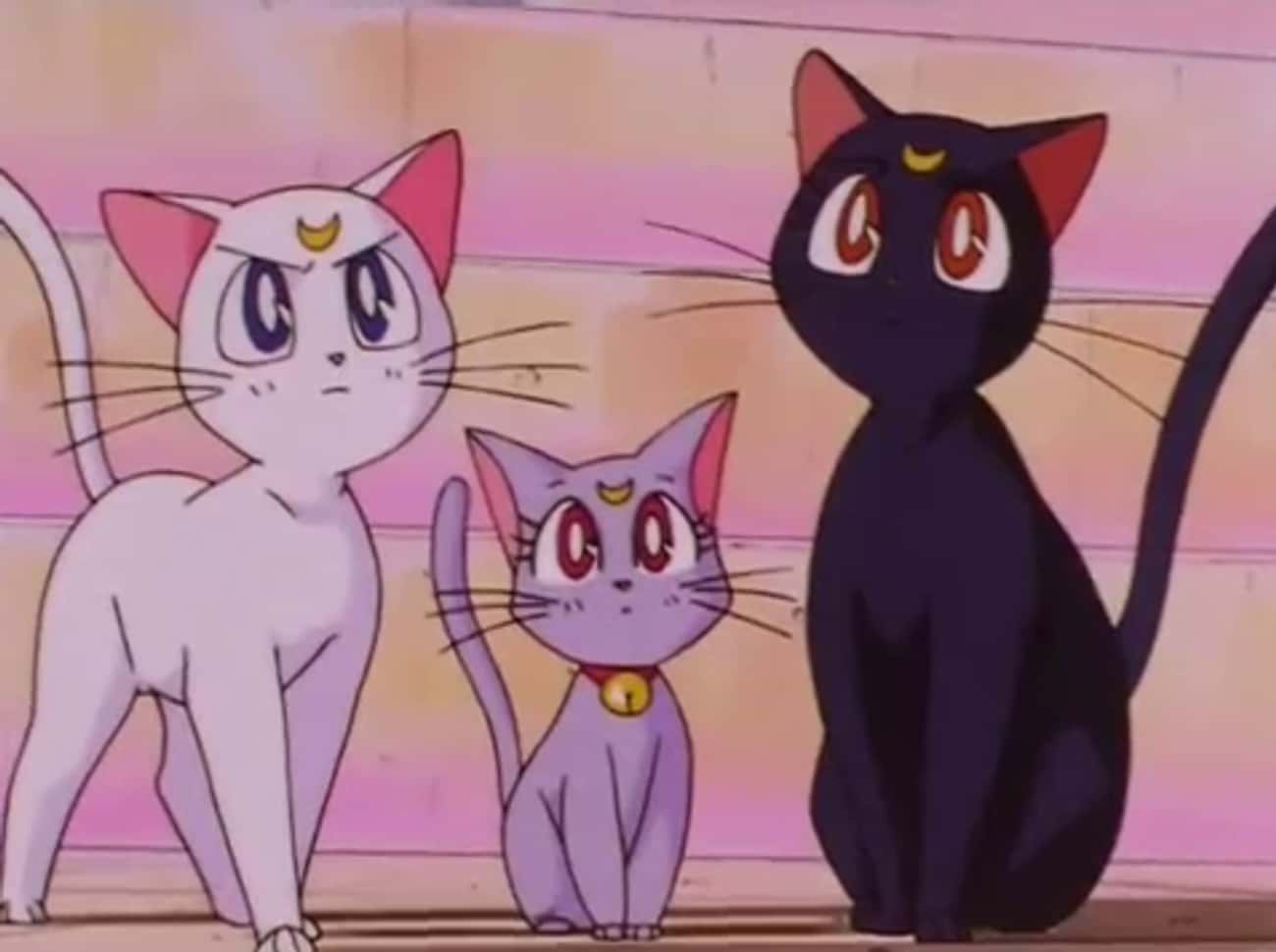 Luna & Artemis - Sailor Moon