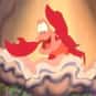 Sebastian is listed (or ranked) 3 on the list Cartoons/Comics: Best Fish (and Whales & Sea Creatures)