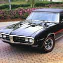 1968 Pontiac Firebird on Random Best Pontiacs