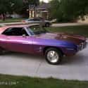 1969 Pontiac Firebird on Random Best Pontiacs