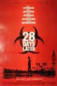 28 Days Later on Random Best Fast Moving Zombie Movies