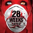 28 Weeks Later on Random Best Dystopian And Near Future Movies