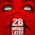 28 Weeks Later on Random Best Zombie Movies
