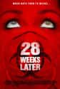 28 Weeks Later on Random Best Fast Moving Zombie Movies