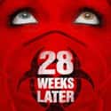 Rose Byrne, Idris Elba, Jeremy Renner   28 Weeks Later is a 2007 British-Spanish post-apocalyptic science fiction horror film, structured as a sequel to the 2002 critical and commercial success, 28 Days Later. 28 Weeks Later was...