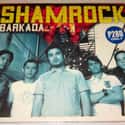 Shamrock on Random Best Original Pilipino Music Bands/Artists