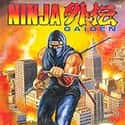 Ninja Gaiden on Random Single NES Game