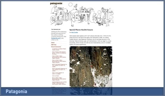 Patagonia, Inc. Rankings & Opinions