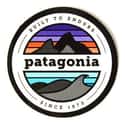 Patagonia, Inc. on Random Top Clothing Brands for Men