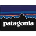 Patagonia, Inc. on Random Best Hoodie Brands