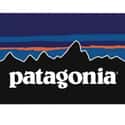 Patagonia, Inc. on Random Best Outerwear Brands