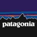 Patagonia, Inc. on Random Best Companies To Work For By Beach in Southern California