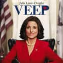 Veep on Random Best Political Drama TV Shows
