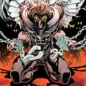 Fictional Character   The second Talon is shown in Teen Titans #38, the former sidekick of Owlman, created by Geoff Johns(writer) and Tony S. Daniel(artist).