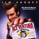 1994   Ace Ventura: Pet Detective is a 1994 American comedy detective film directed by Tom Shadyac, and co-written by and starring Jim Carrey.