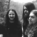 Tumuli Shroomaroom, The Acid Elephant E.P., Solstice Sadness   Acrimony was a British stoner metal band who were active during the 1990s.