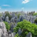 Stone Forest on Random Real Landscapes That Look Like They're From Another Planet
