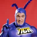 The Tick on Random TV Shows Canceled Before Their Time