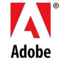 Adobe Systems on Random Most Evil Internet Company