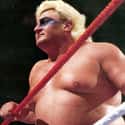 Adrian Adonis on Random Professional Wrestlers Who Died Young