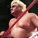 Adrian Adonis on Random Professional Wrestlers Who Died Young