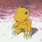 Agumon is listed (or ranked) 22 on the list The Greatest Dinosaur Characters of All Time