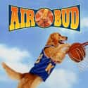 Mark Jackson, Kevin Zegers, Michael Jeter   Air Bud is a 1997 American family comedy film that sparked the franchise centered on the real-life dog, Buddy, a Golden Retriever.