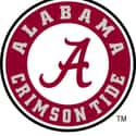 Alabama Crimson Tide Football on Random Best SEC Football Teams
