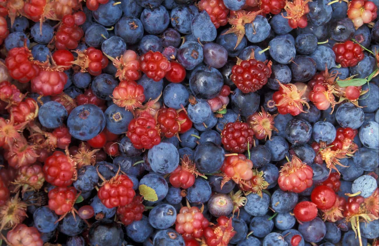 Alaska: Wild Berries