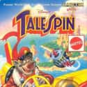 TaleSpin on Random Single NES Game