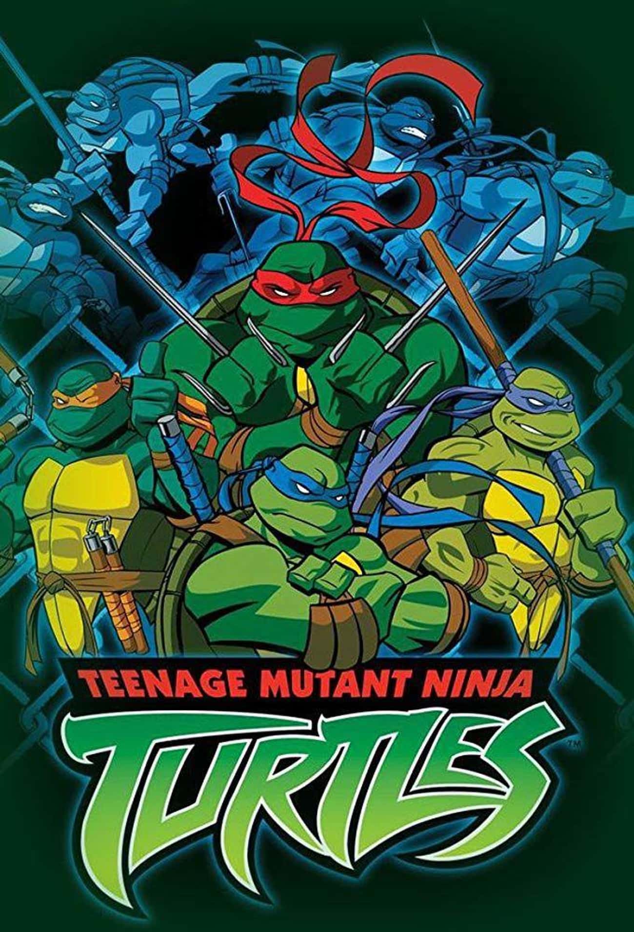 Teenage Mutant Ninja Turtles (2003 - 2009)