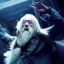 Professor Albus Dumbledore on Random Brutal Deaths in Harry Pott