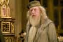 Professor Albus Dumbledore on Random Greatest Harry Potter Characters