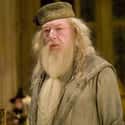 Professor Albus Dumbledore on Random Best Members of Gryffindo
