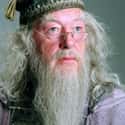 Professor Albus Dumbledore on Random Luckiest Characters In ‘Harry Potter’ Film Franchis