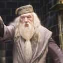 Professor Albus Dumbledore on Random Fictional Wizard Win In A Magical Mega-Duel