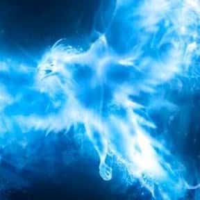 Every Character's Patronus In The 'Harry Potter' Series